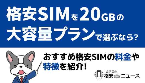 格安SIM_20GBの画像